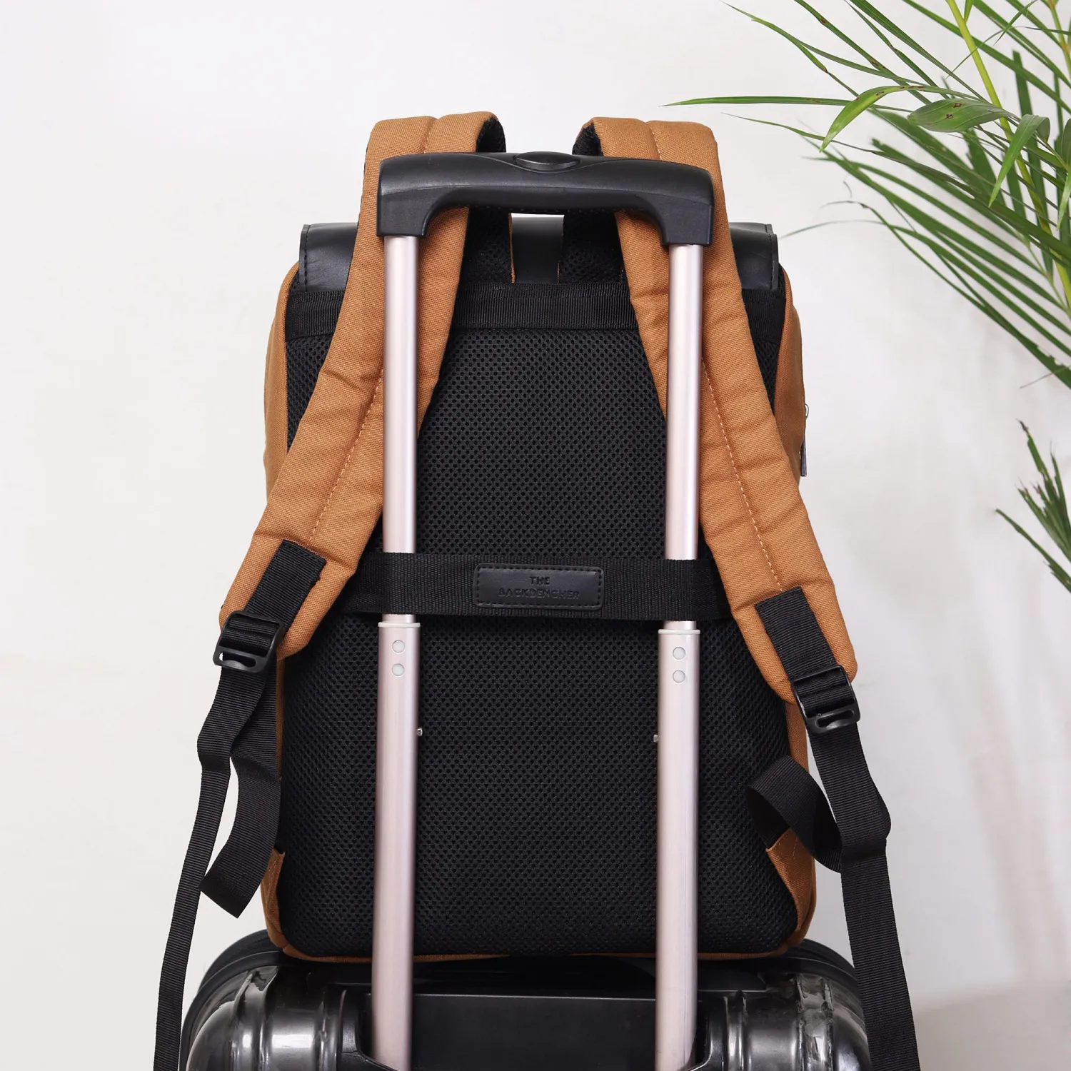Daniel Executive Backpack- Brown Buy Daniel Executive Backpack- Brown in bulk for Corporate Gifting | Corporate Gyft
