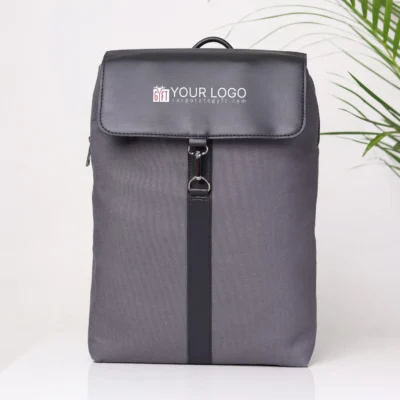 Buy Daniel Executive Backpack- Grey in bulk for Corporate Gifting | Corporate Gyft