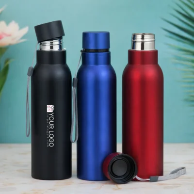 Buy Hot and Cold Insulated Bottle - Medium in bulk for Corporate Gifting | Corporate Gyft