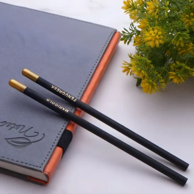 Buy Black Mark Eco Pencil in bulk for Corporate Gifting | Corporate Gyft