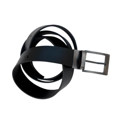 Buy Twist Buckle Reversible Belt in bulk for Corporate Gifting | Corporate Gyft